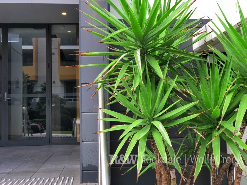 51/45 Bonar Street, Arncliffe NSW 2205