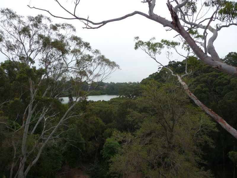 2/8 Charm Street, Peakhurst NSW 2210