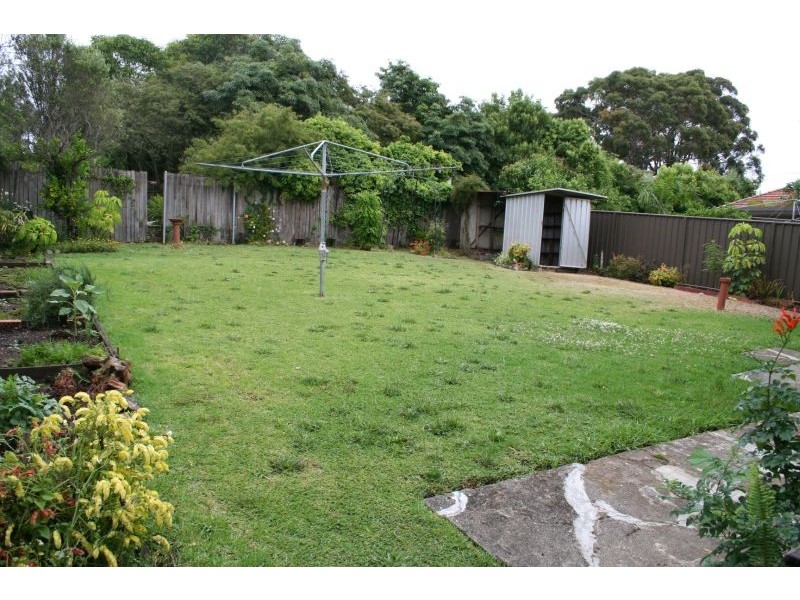 3 Margaret Street, Kingsgrove NSW 2208