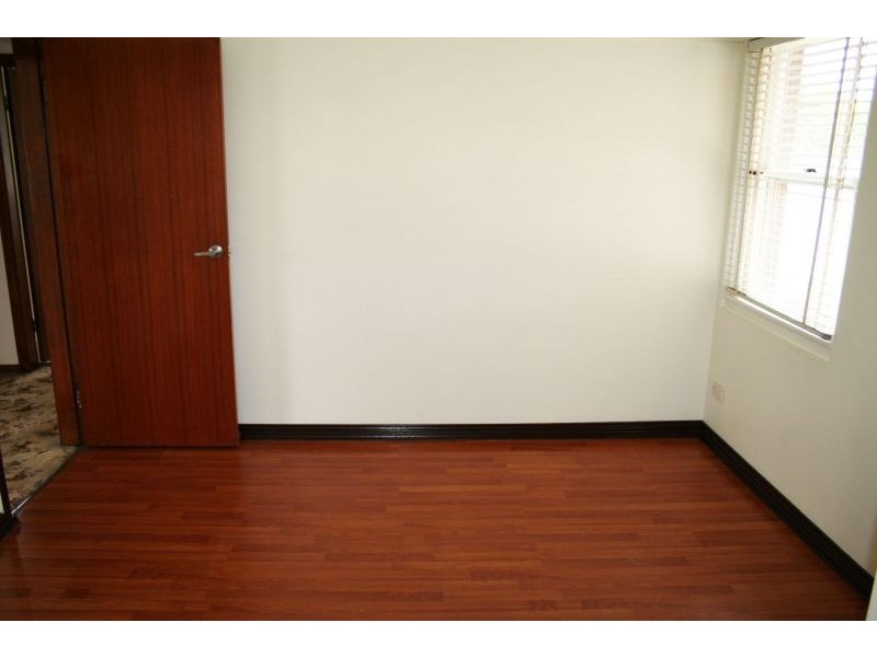 3 Armitree Street, Kingsgrove NSW 2208