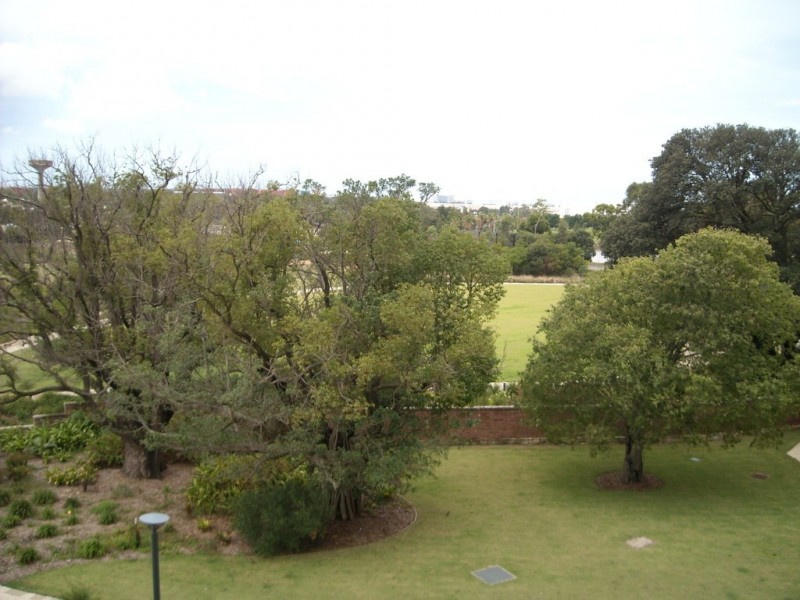 410/10 Brodie Spark Drive, Wolli Creek NSW 2205