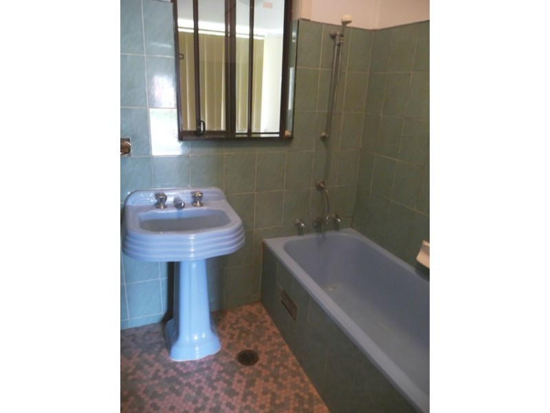 113 Seville Street, Fairfield East NSW 2165