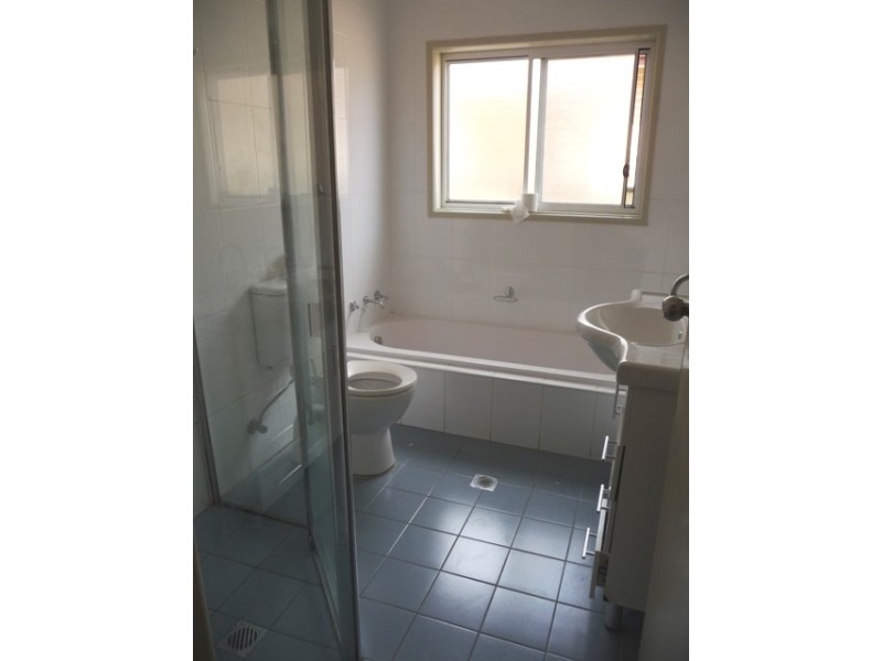 172  South Terrace, Bankstown NSW 2200