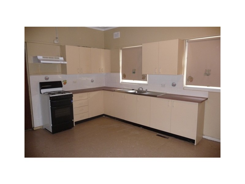 19  Craig Street, Punchbowl NSW 2196