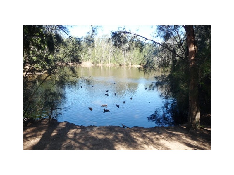 72  Woods Road, Sefton NSW 2162