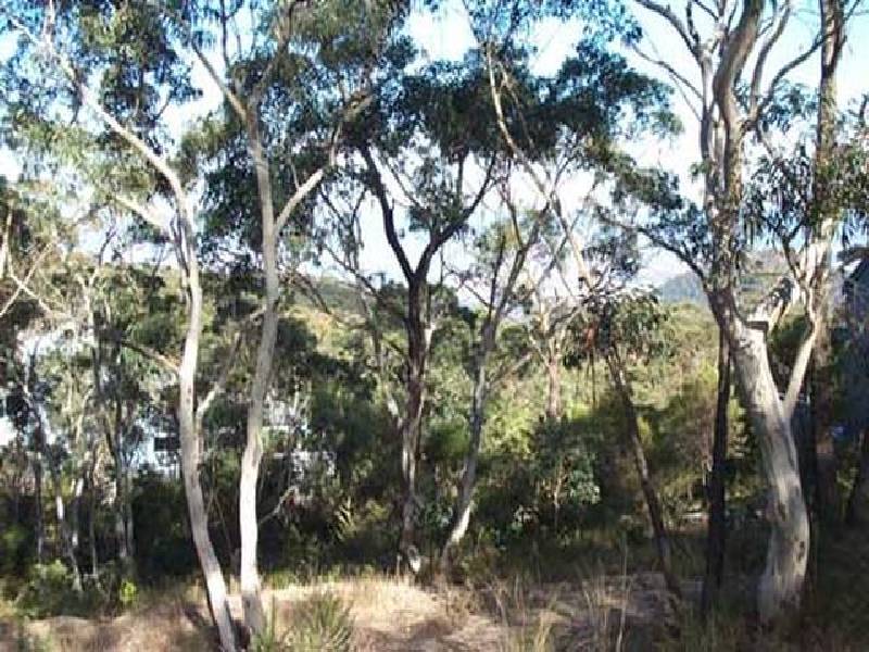 70 Victoria Street, Mount Victoria NSW 2786