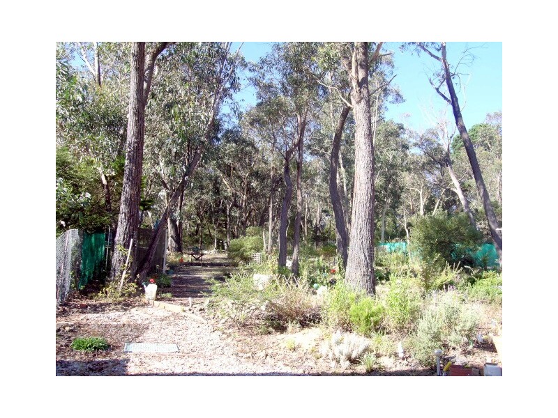 Mount Victoria NSW 2786