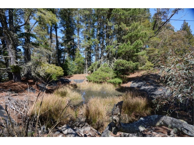 Lot 34 Mount Blackheath Road, Blackheath NSW 2785