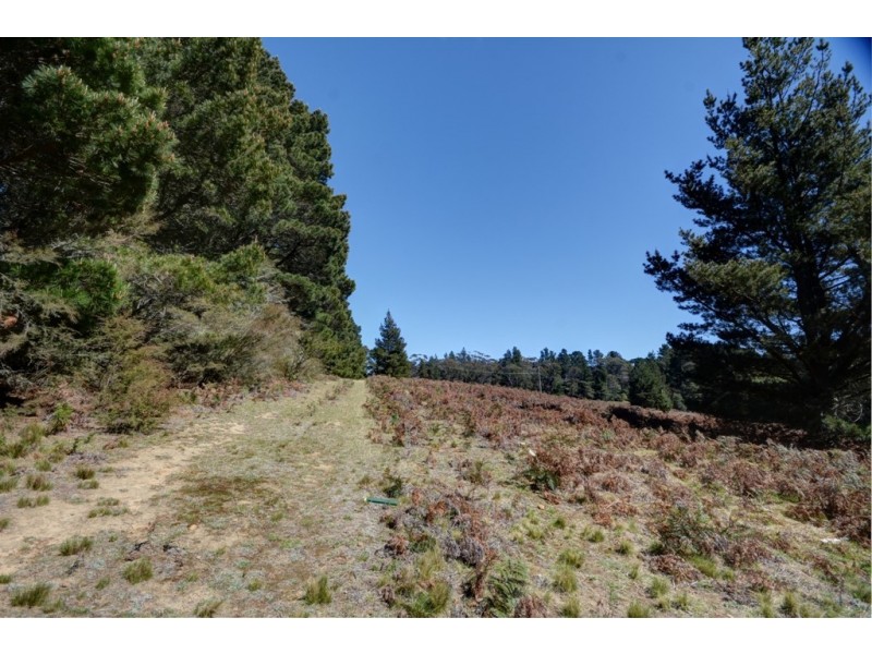 Lot 34 Mount Blackheath Road, Blackheath NSW 2785