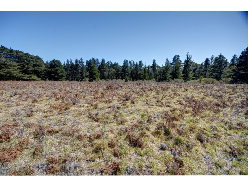 Lot 34 Mount Blackheath Road, Blackheath NSW 2785