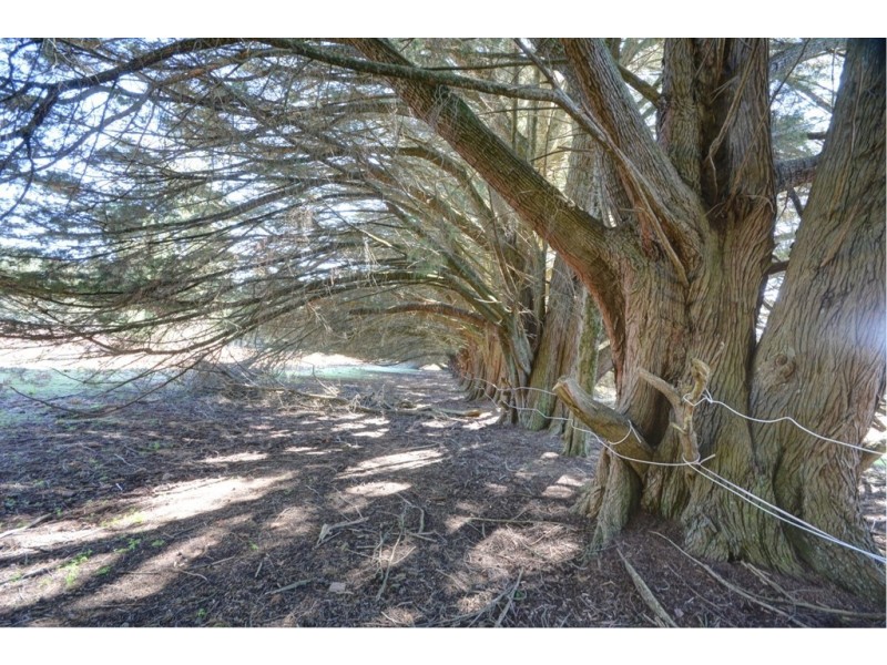 Lot 34 Mount Blackheath Road, Blackheath NSW 2785