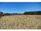 Lot 34 Mount Blackheath Road, Blackheath NSW 2785