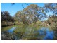 Lot 1, 41-69 Mount Blackheath Road, Blackheath NSW 2785