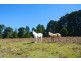 Lot 1, 41-69 Mount Blackheath Road, Blackheath NSW 2785
