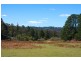 Lot 1, 41-69 Mount Blackheath Road, Blackheath NSW 2785