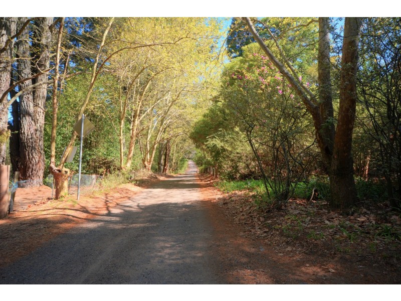 Lot 1, 41-69 Mount Blackheath Road, Blackheath NSW 2785