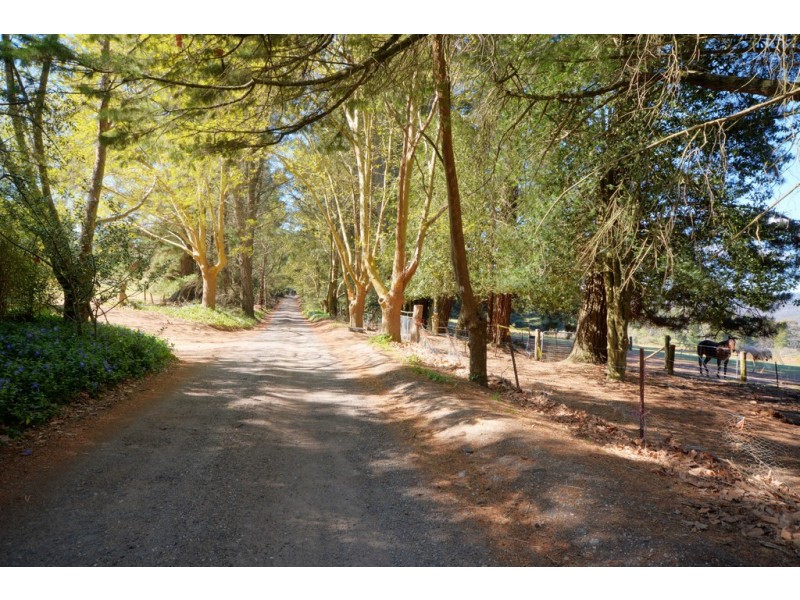 Lot 1, 41-69 Mount Blackheath Road, Blackheath NSW 2785