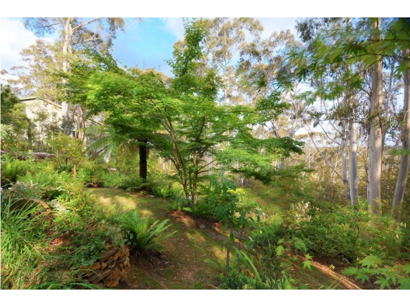 223 Hat Hill Road, Blackheath NSW 2785
