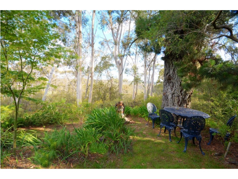 223 Hat Hill Road, Blackheath NSW 2785