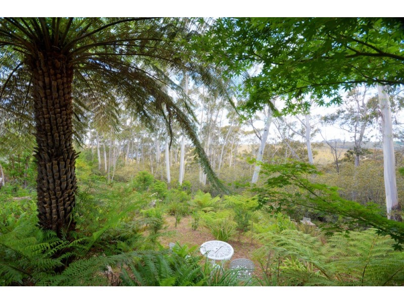 223 Hat Hill Road, Blackheath NSW 2785