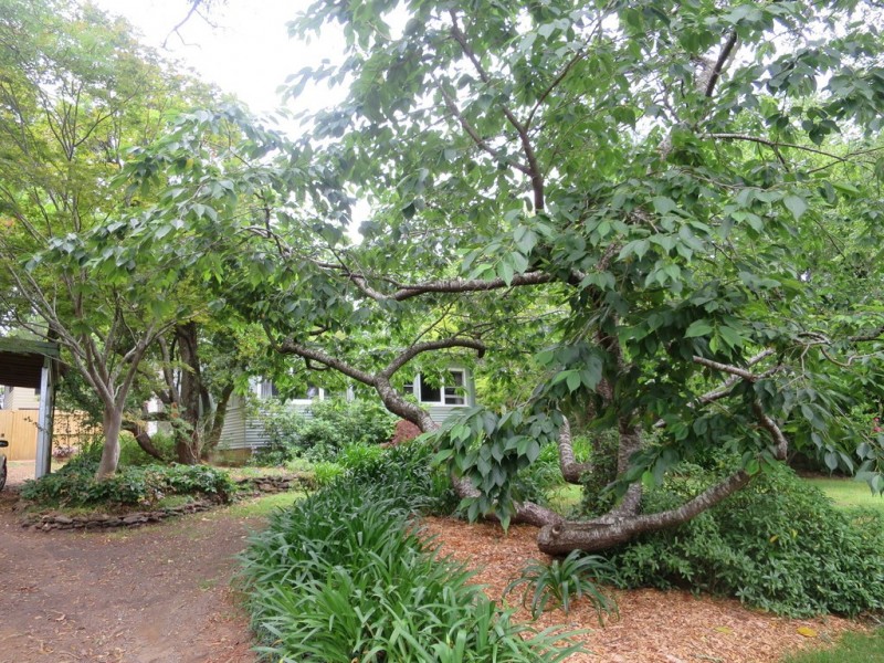 17 St Elmo Avenue, Blackheath NSW 2785