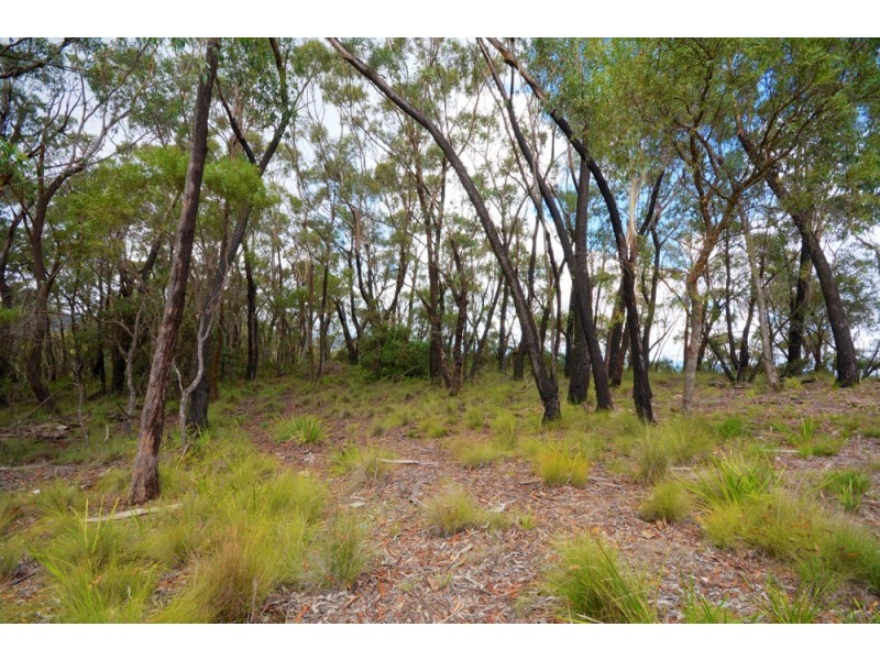 48 Mount Piddington Road, Mount Victoria NSW 2786