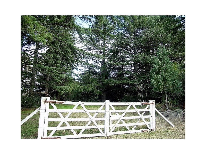 55-63 Hargraves Street, Blackheath NSW 2785