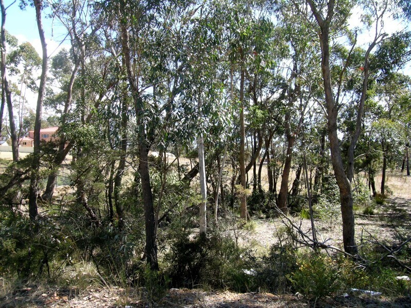 21 Seiberi Close, Blackheath NSW 2785