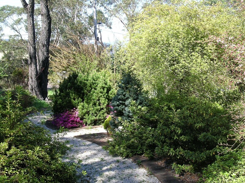 Mount Victoria NSW 2786