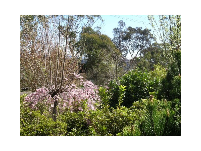 Mount Victoria NSW 2786