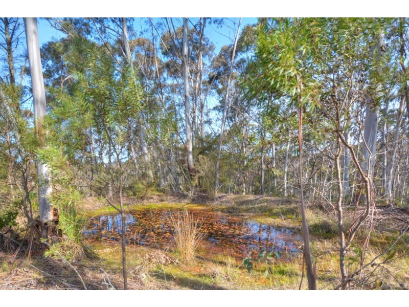 65 Rutland Road, Medlow Bath NSW 2780