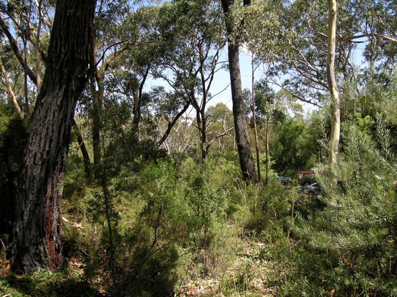 105 Victoria Street, Mount Victoria NSW 2786