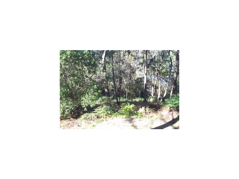 11 Lawrence Street, Blackheath NSW 2785