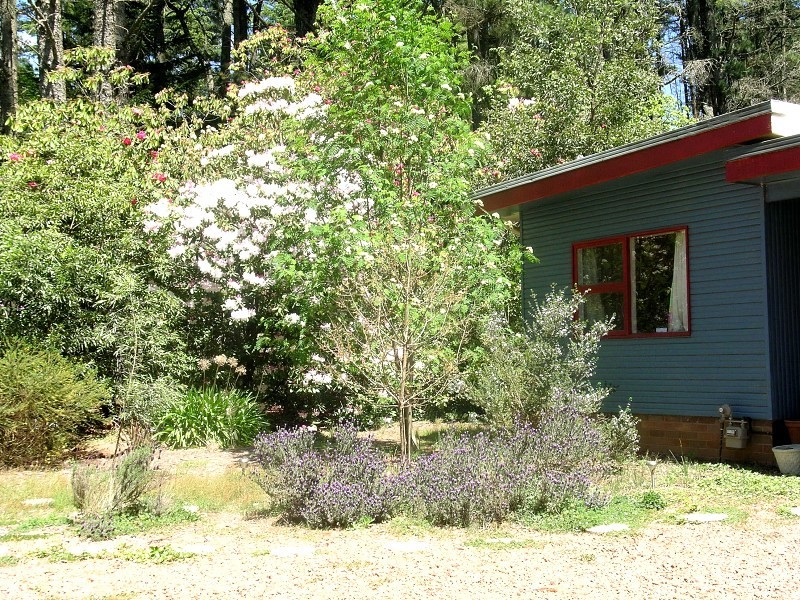 11 Romaine Street, Blackheath NSW 2785