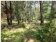 247 Govetts Leap Road, Blackheath NSW 2785