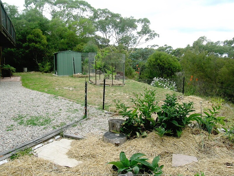 Mount Victoria NSW 2786