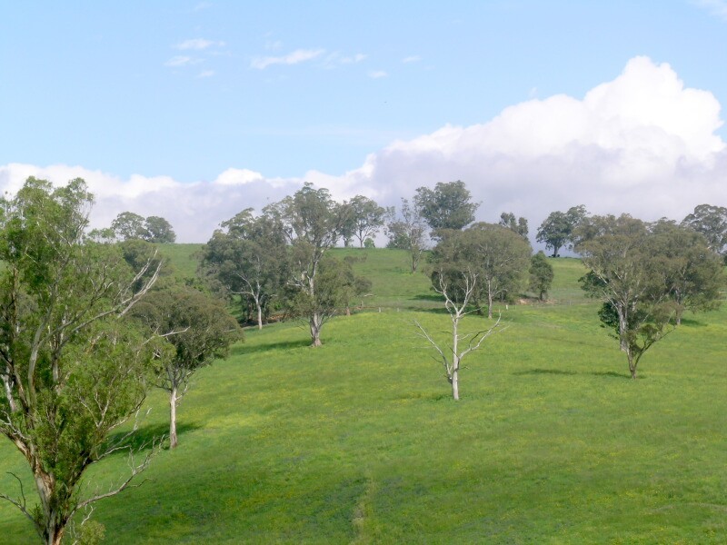 Maroo Park Ganbenang Road, Little Hartley NSW 2790