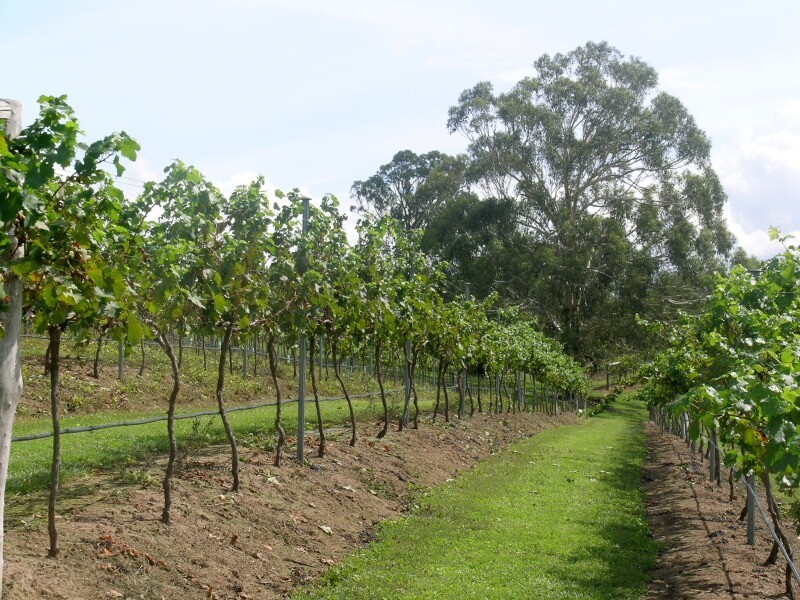 Maroo Park Ganbenang Road, Little Hartley NSW 2790