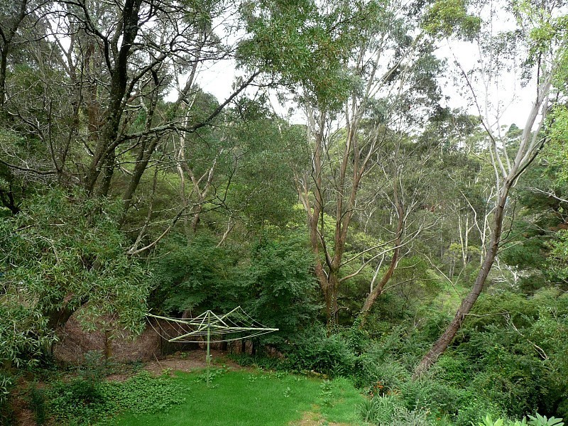 43 Wentworth St, Blackheath NSW 2785