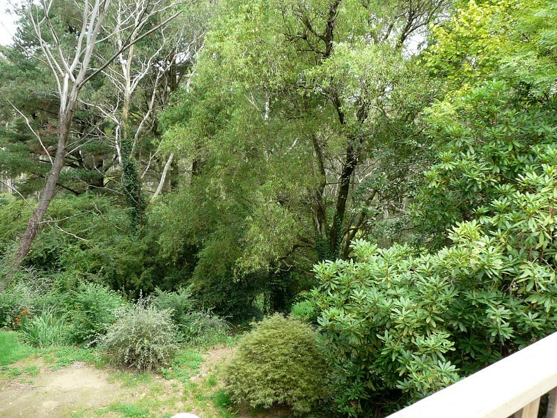 43 Wentworth St, Blackheath NSW 2785