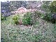 Blackheath NSW 2785