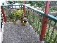 Blackheath NSW 2785