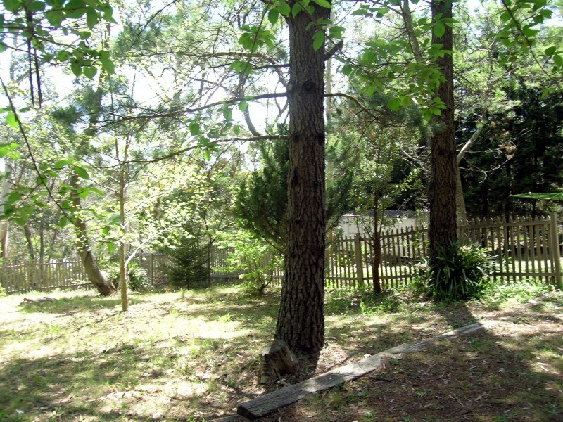 6 St Elmo Avenue, Blackheath NSW 2785