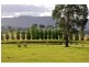 99 Mid Hartley Road, Hartley NSW 2790