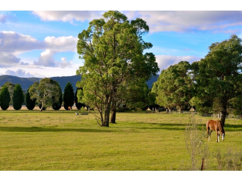 99 Mid Hartley Road, Hartley NSW 2790