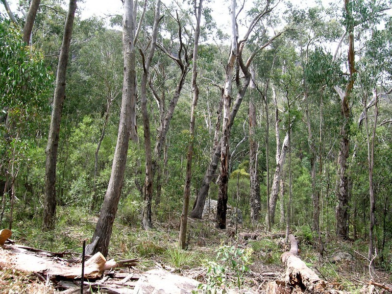 Megalong NSW 2785