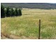 Little Hartley NSW 2790