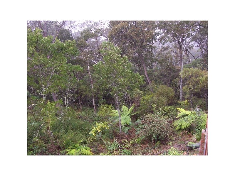 28 Dell St, Blackheath NSW 2785