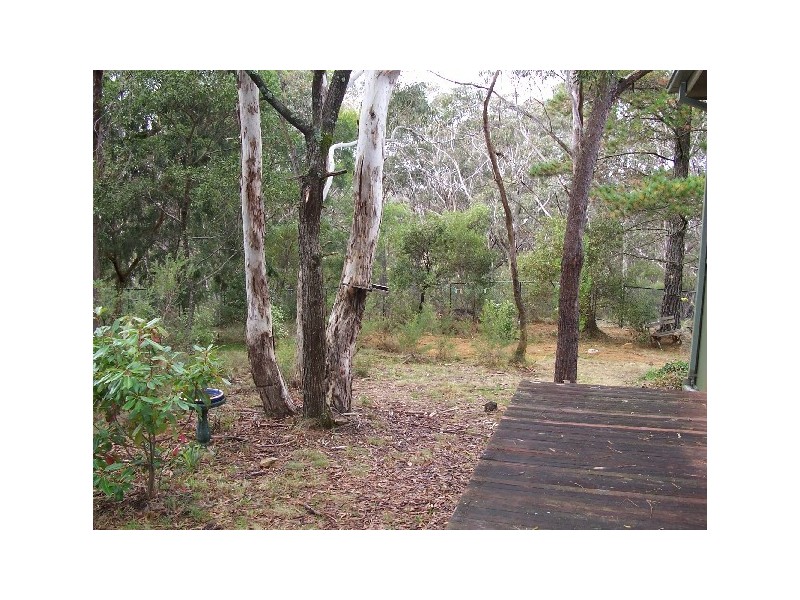 16 Dell St, Blackheath NSW 2785