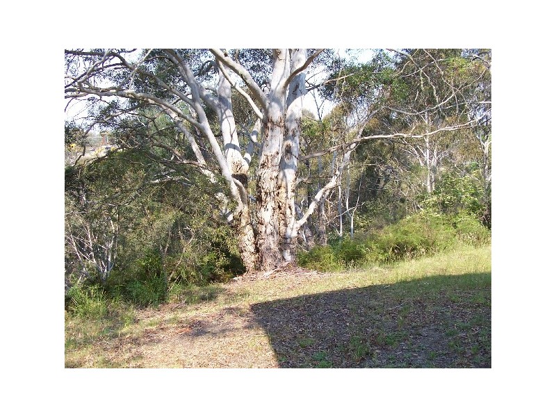 25 Carrington Ave, Mount Victoria NSW 2786